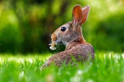 Ostern im SynotTip Casino